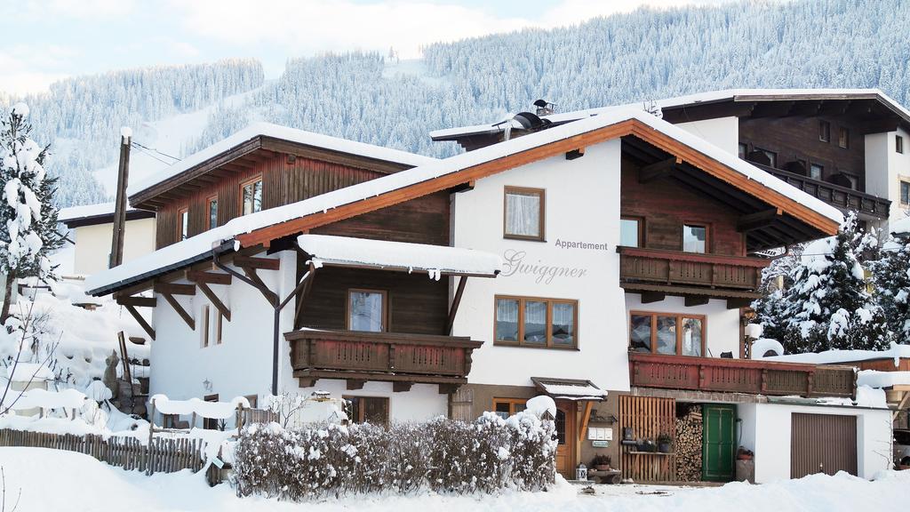 Appartement Gwiggner Niederau Εξωτερικό φωτογραφία
